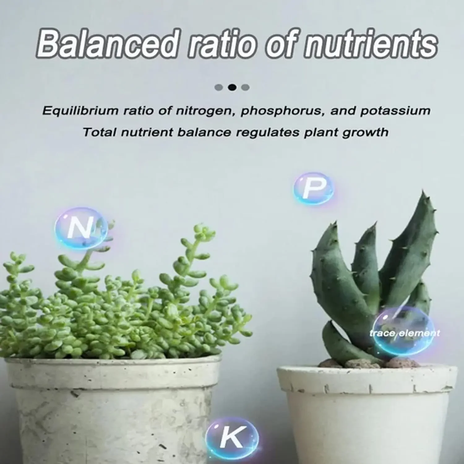 22Pcs/Bottle Plant Food Organic Fertilizer for Plants Garden Bonsai Soil Rooting Hormone Seeds Vegetables Fertilizante Grow