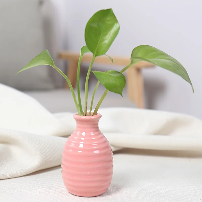 Round pattern pink