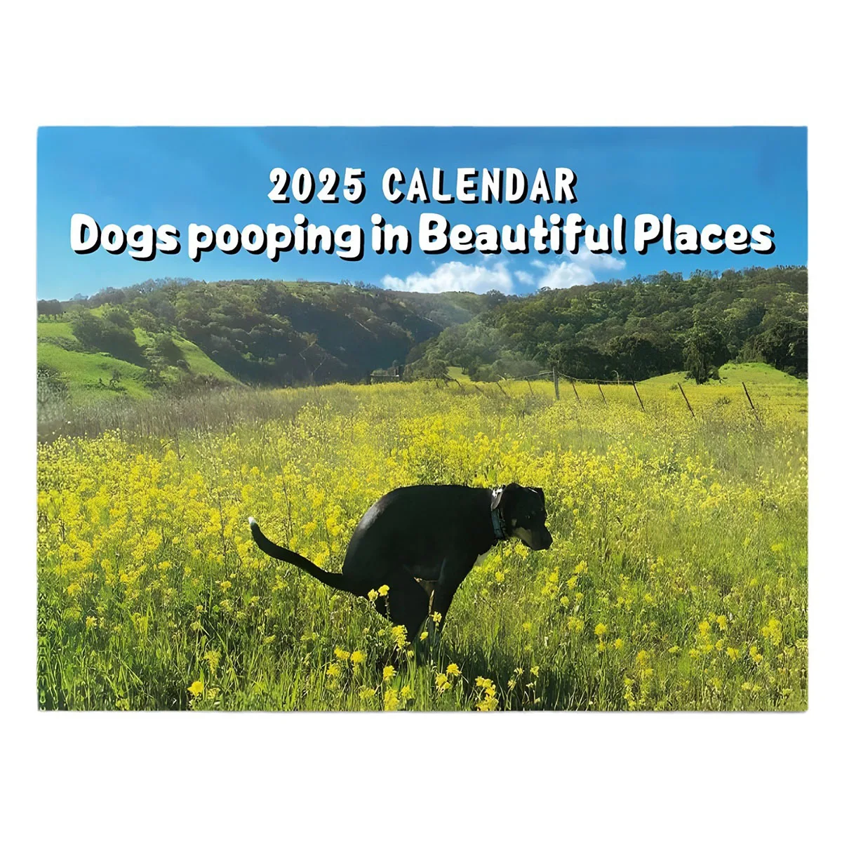 Wall Calendar 2025 Dogs Pooping Beautiful Places Funny Gag Gifts Holiday Christmas White Elephant Gifts