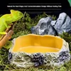 Pet Reptile Water Bowls Terrarium Plate Reptile Feeder Amphibian Feeding Bowl for Frog Chameleon Tortoise Bearded Dragon Turtle 3