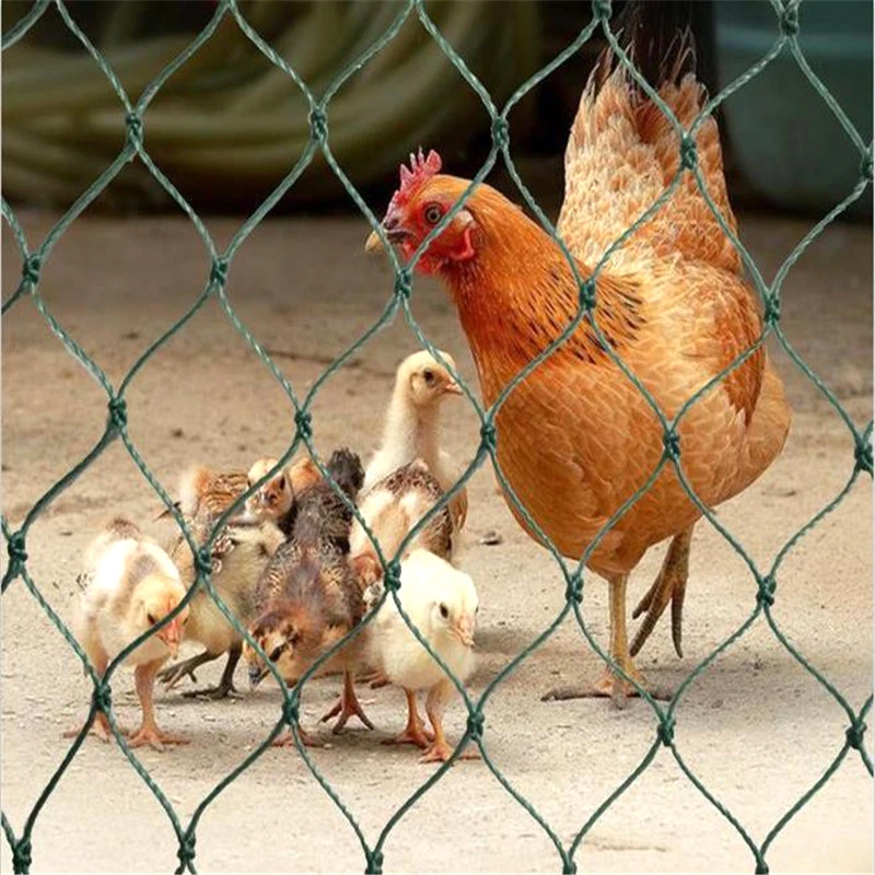 2.4x20 50M Chicken Fence Mesh Outdoor Bird-Proof Net Gardening Poultry Fencing