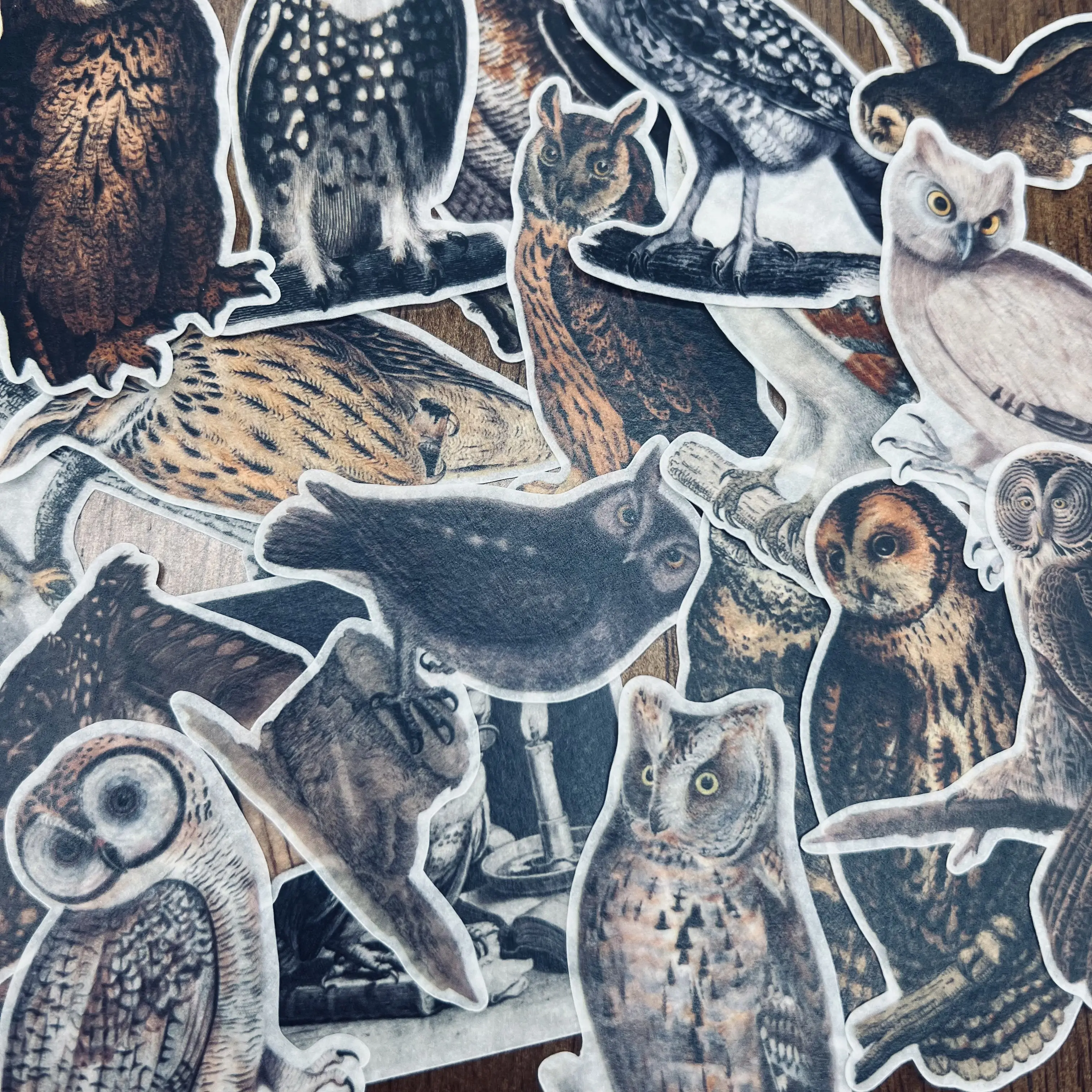 Decorative Stickers Junk Journal Retro Owl Stickers for DIY Scrapbooking