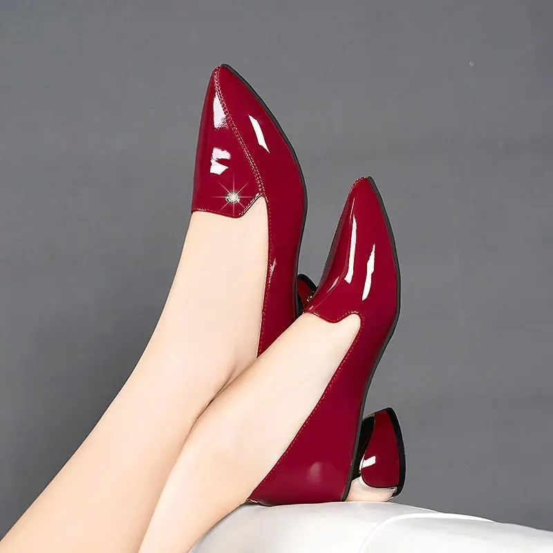 2024 New Coarse Heel Shoes Female Autumn Korean Version Pointed Shallow Mouth with Professional Work Shoes