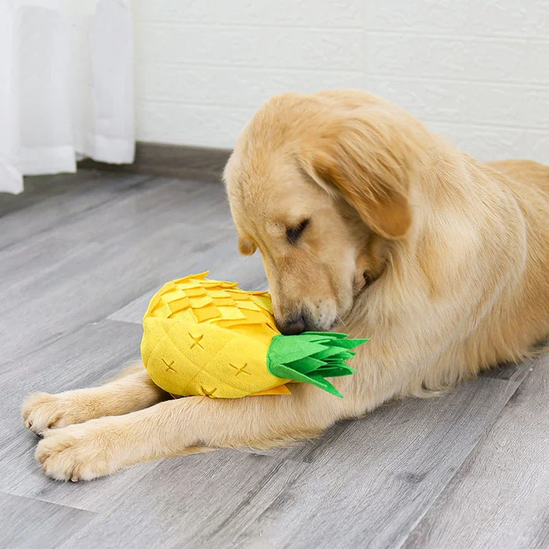 https://ae01.alicdn.com/kf/S7837e196711b4d39847f71786e2a0d4cp/Snuffle-Dog-Pineapple-Toy-Food-Training-Iq-Plush-Squeak-Toy-Slow-Eating-Bowl-Mat-Washable-Treat.jpg