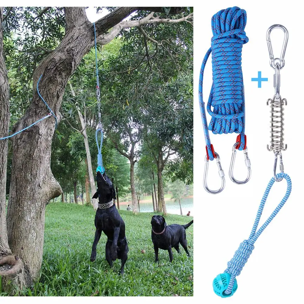 Giocattolo Spring Pole Per Cani - Corda Da Tiro Alla Fune Per Allenamento Muscolare
