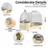 Rotating Clear Makeup Organizer with Lid,Large Capacity Cosmetic Display Case,Bathroom Countertop or Dresser 5