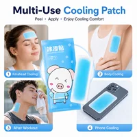Disposable Cooling Gel Patch 10H Non Woven Ice Sticker for Summer Heat Relief Outdoor Camping Hiking Body Cooling Care Pad Use 6