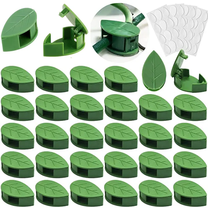 60 Clips Para Plantas Trepadoras - Soporte Autoadhesivo, Invisible Y Reutilizable