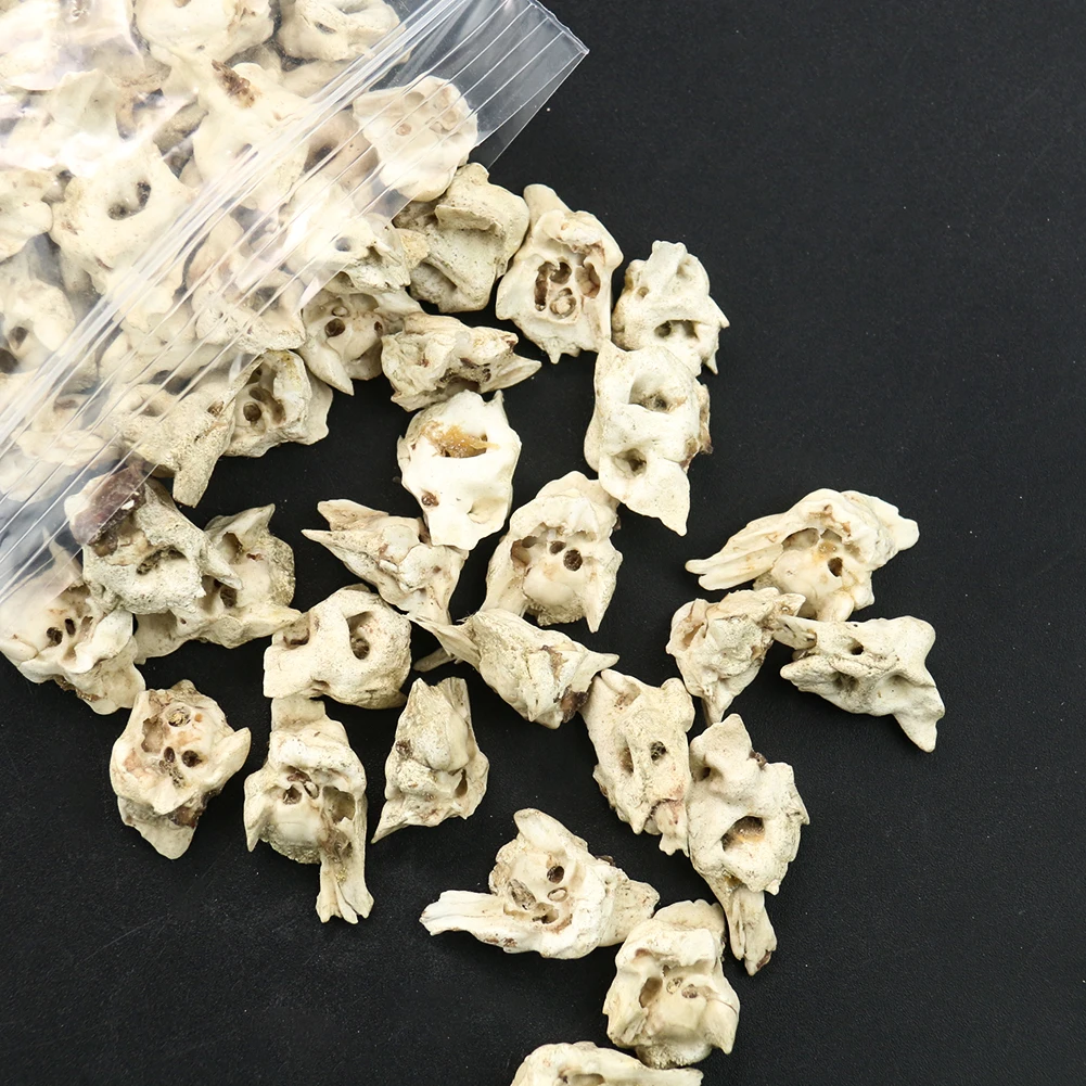 

Natural Rough Pig Bone Loose Beads Irregular Charms DIY Woman Man Birthday Bracelet Necklace Earrings Jewelry Making Accessories