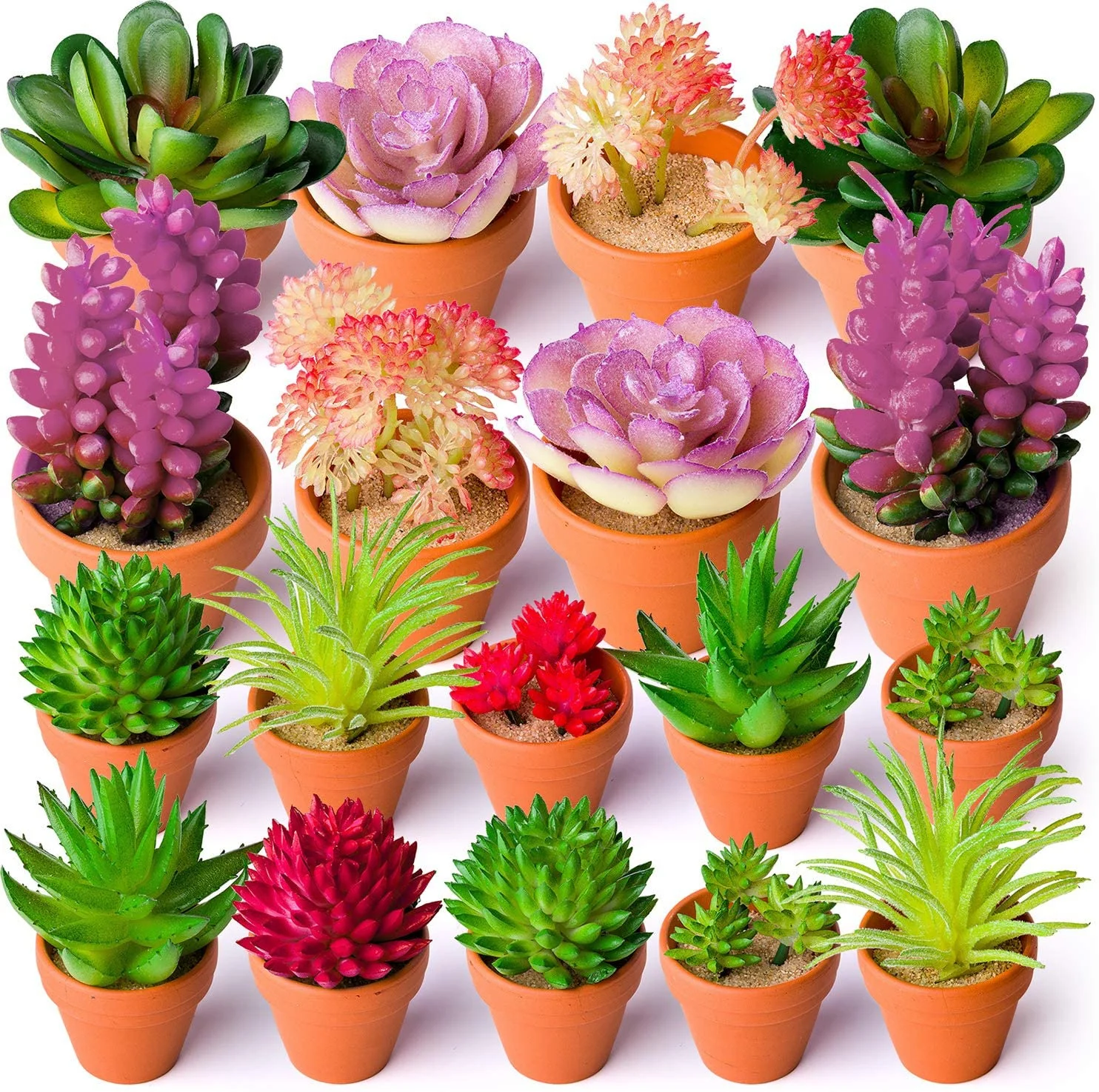 24pcs Artificial Succulent Plants Unpotted Picks Realistic Plastic Cactus Stems for Terrarium Bulk Faux Assorted Arrangements