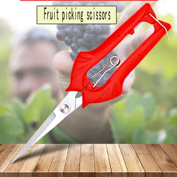 Garden Pruning Shears 1