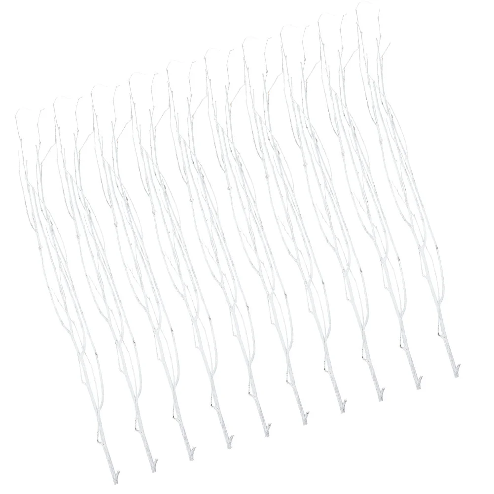 

12Pcs Natural Dried Plant Branch Birch Branches Dried Plant Twig Photo Prop