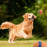 Dog Toy Ball Dog Fetch Ball Toy Tough Pet Ball Puppy Chew Toy Solid Elastic Jumping Ball Pet Accessories For Large Medium Small 2