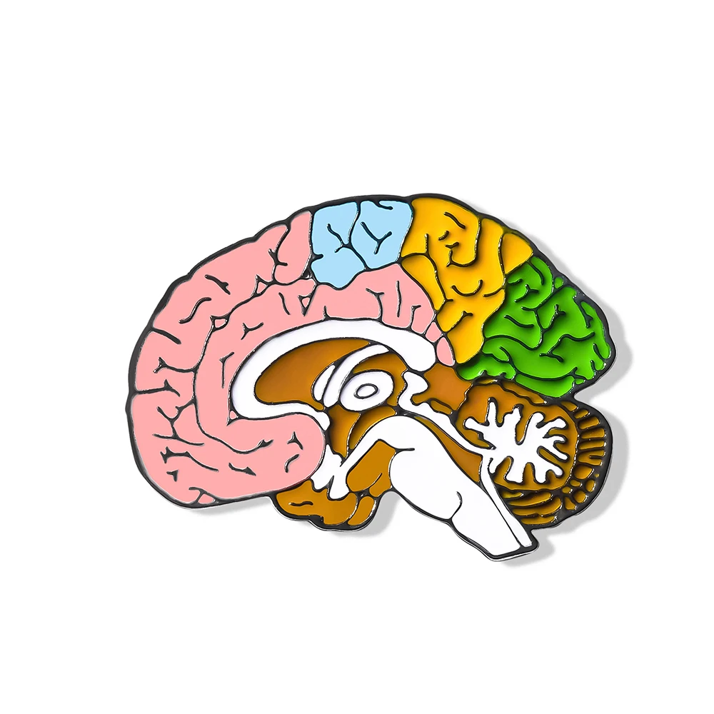 

Medical Science Brain Enamel Pin Brooch Neurology Anatomy Badge Lapel Decoration Jewelry Suitable for Doctors and Nurses