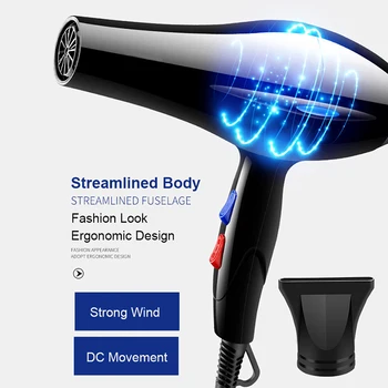 Professional Ionic Hair Dryer 1
