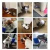 1PC Cat Self Groomer With Catnip Cats Wall Corner Massage Comb Brush Rubs The Face With A Tickling Soft Comb Pet Grooming Supply 6