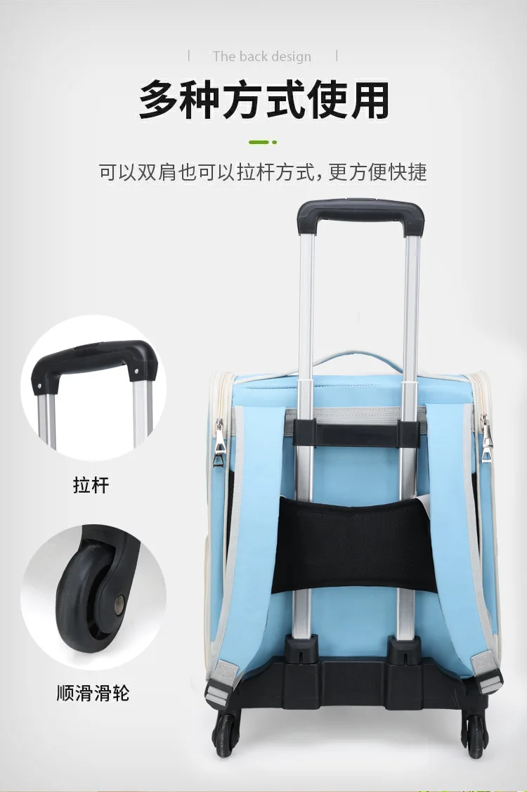 S78438a1baa2c44fe884d2f4e872b7930K