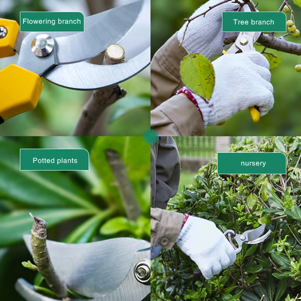 DELI Gardening Pruning Shears 7"Folding Saw Set Fruit Tree Potted Greening Durable Labor-Saving Tools Orchard Garden Pruning 5