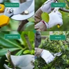 DELI Gardening Pruning Shears 7"Folding Saw Set Fruit Tree Potted Greening Durable Labor-Saving Tools Orchard Garden Pruning 5