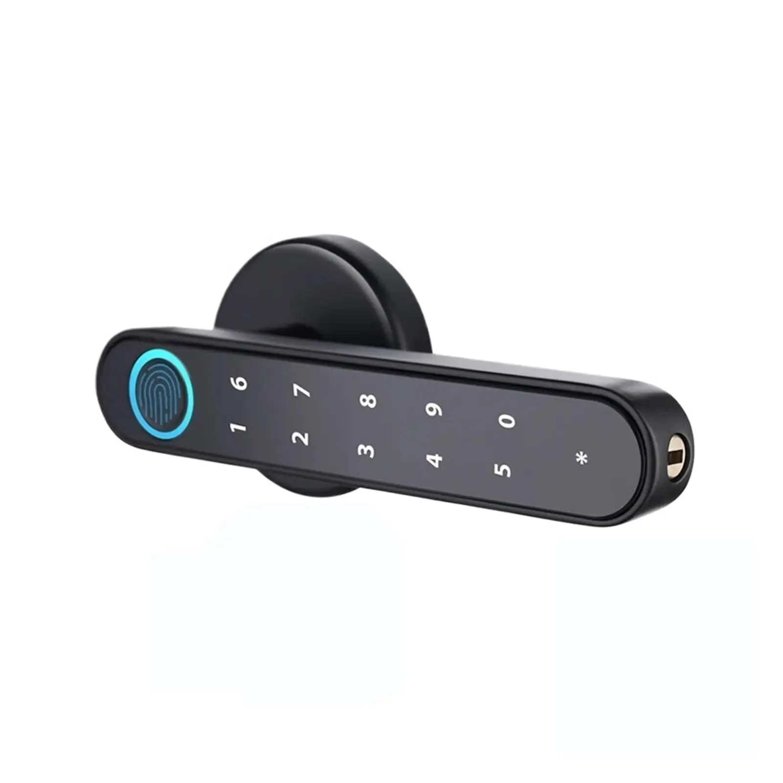 

With Tuya Biometric Fingerprint Smart Door Lock Electronic Digital Lock Password Fingerprint Keyless Security Door Handle Home