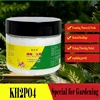 Potassium Dihydrogen Phosphate Foliar Organic Fertilizer Vegetables Flowers Phosphorus Potassium Compound Fertilizer 1