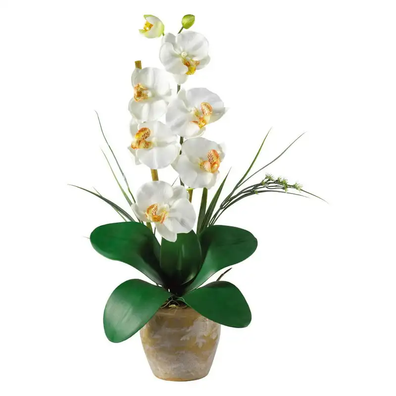 

Silk Orchid Flower Arrangement, Cream Gender reveal decorations Fall decor Vase for flowers Hanging flowers Ramos de quinceañer