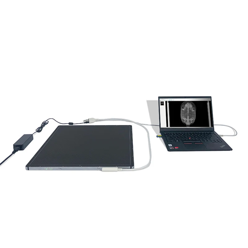 Рисунок 5 - Портативная рентгенографическая система