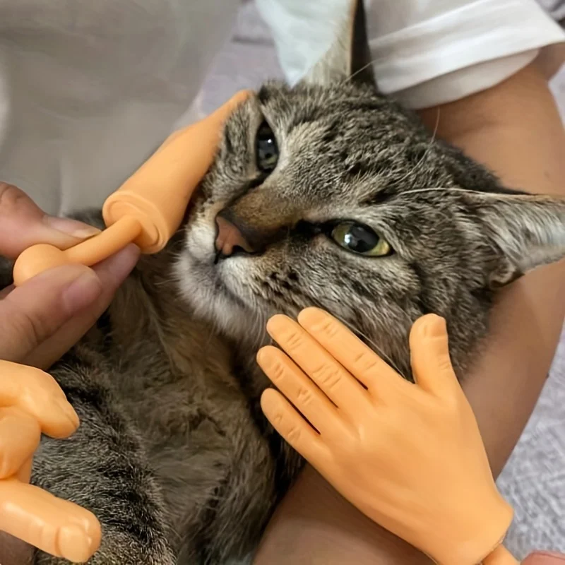Toy Finger Teasing Cat High Elasticity Cat