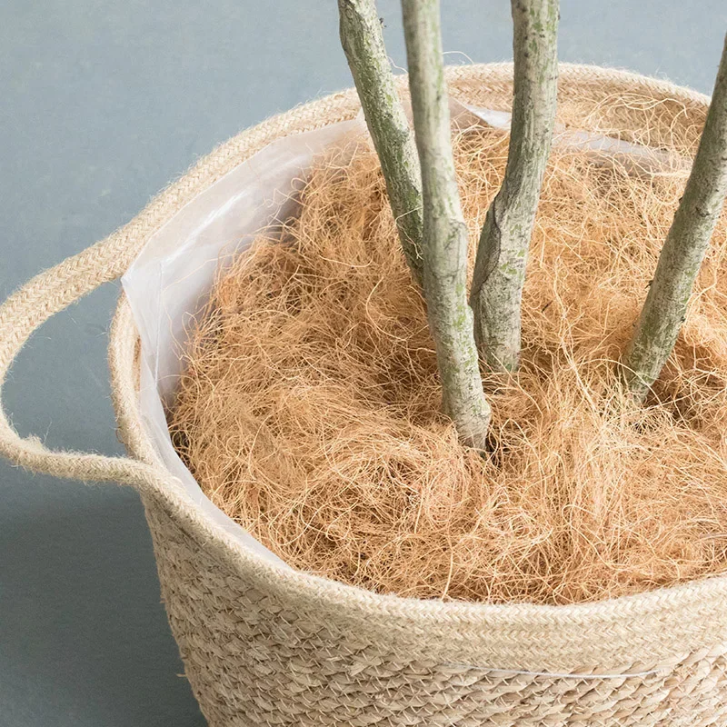 Natural Coconut Husk Fiber Orchids Crafts Pet Bedding Insect-Proof Protect Plants Maintain Soil Temperature 200g