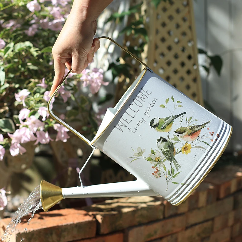 Wrought Iron Watering Can Long Spout Large Capacity Garden Kettle Home Succulents Indoor Outdoor Plants Patio Flower Care jardin