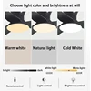 Modern Led Ceiling Fan Lights DC Motor 6 Speeds Timing Fans Low Floor Loft Remote Control Fan With Lights Bedroom Dining room 3
