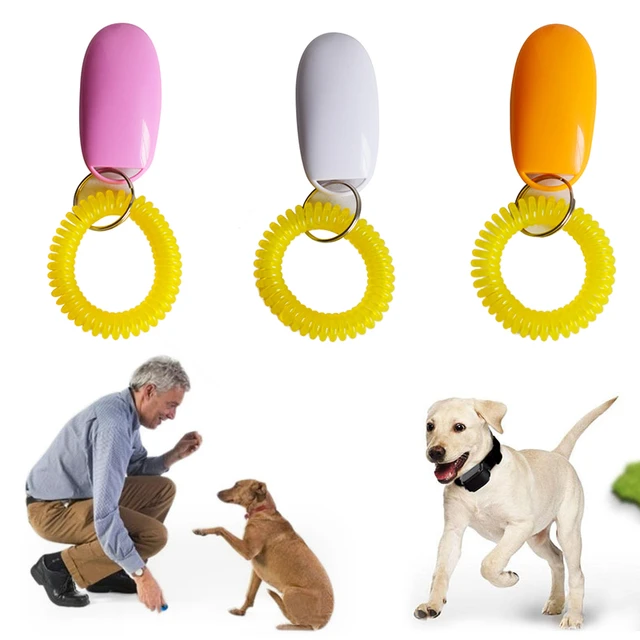 Click Sound Clicker Dog Supplies Pet Training Supplies Training Sound  Clicker Sound Guide Train Clicker dogs - AliExpress