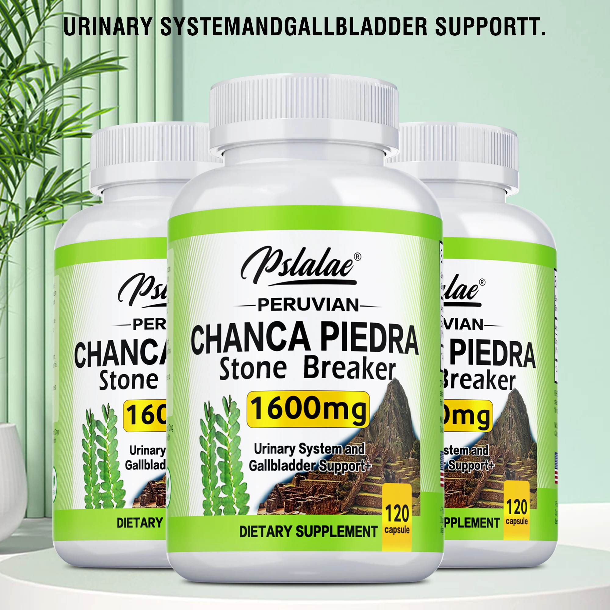 Chanca Piedra 1600mg for Kidney & Bladder Health kidney bladder cleanse