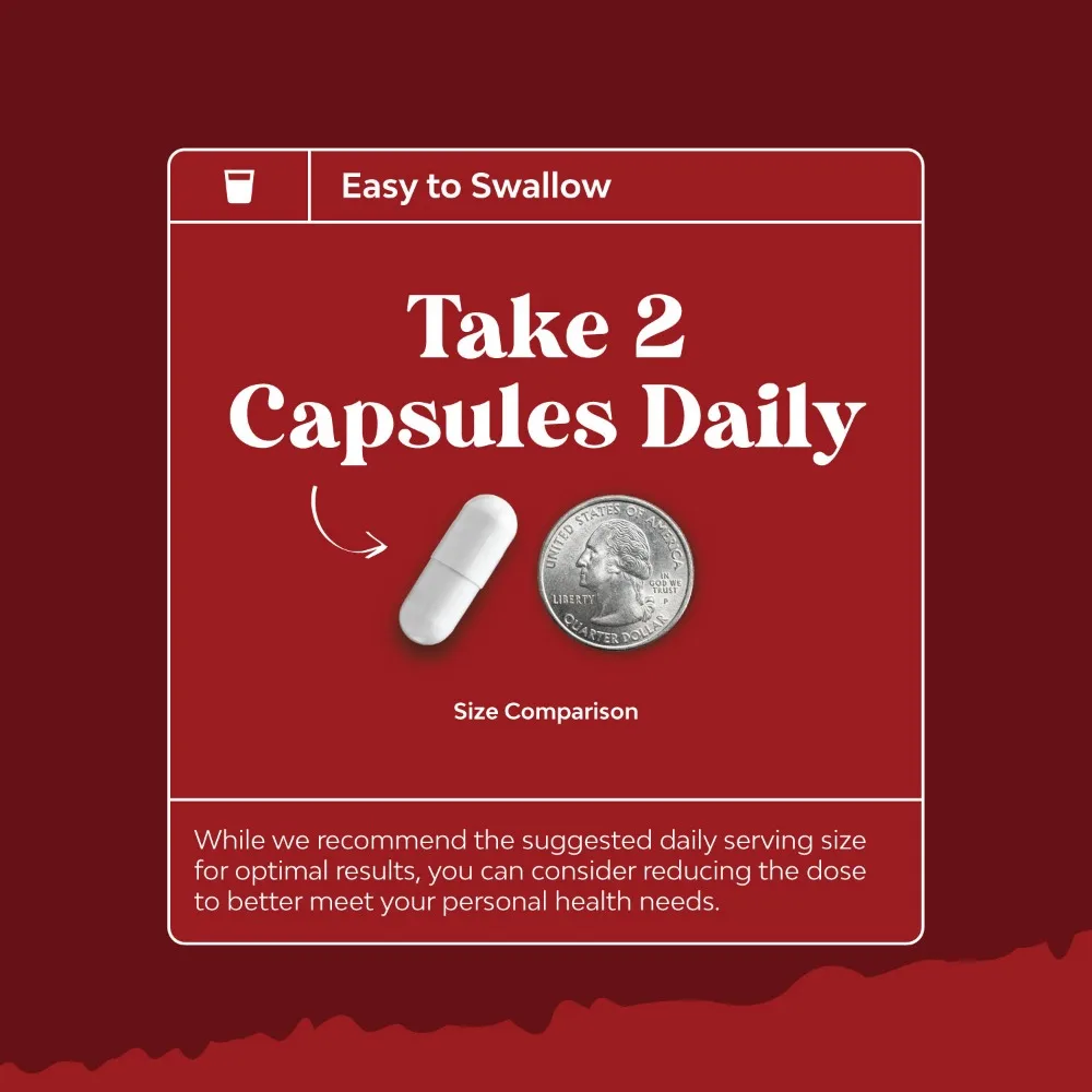 Red Yeast Rice Supplement 1200 Mg Per Serving for High Cholesterol Coenzyme Q10 Capsules 100 Mg Per Serving for Heart Health