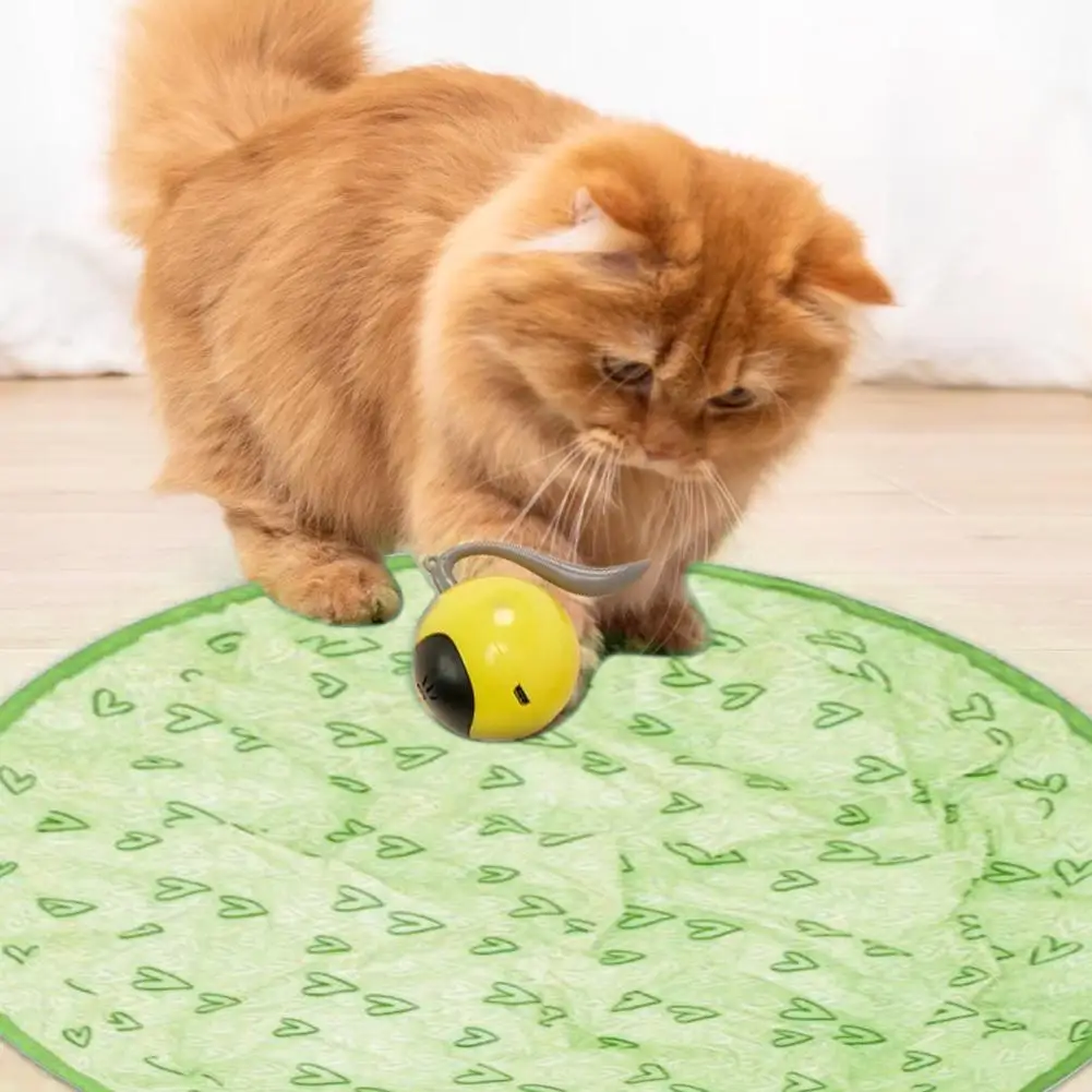

Creative Funny Gertar Interactive Cat Toy Interactive Hunting Cat Mat Automatic Rolling Guitar Cat Toy Smart Ball Pet Supplies