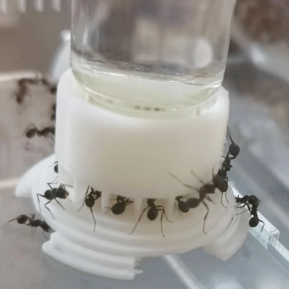 Ant Farm Supplies Ant Farm Water Feeding Area Water Bowl for Ant Anthill Nest Large Capacity Feeder House Drinking Bottle Workshop