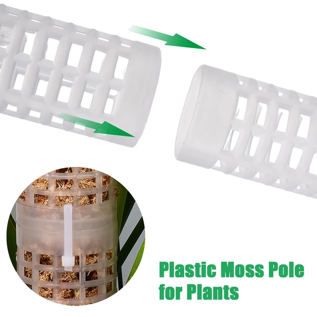 Növényi Hegymászó Oszlop Sphagnum Moha Botnövények Termelő Támogató Zöld Szőlő Mászó Pólus Víz-Retaining Műtrágya Gazdag - Image 4