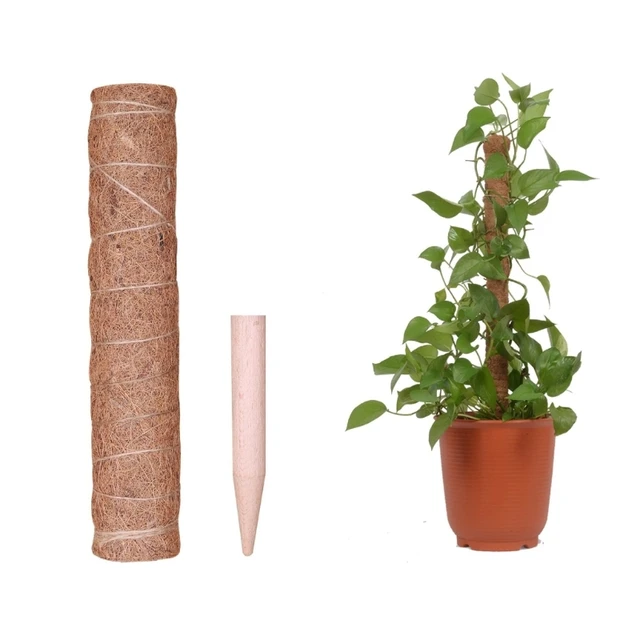 Coir Moss Plant Stake Mászó Növény Támogatja A Beltéri Tét 367A - Image 4