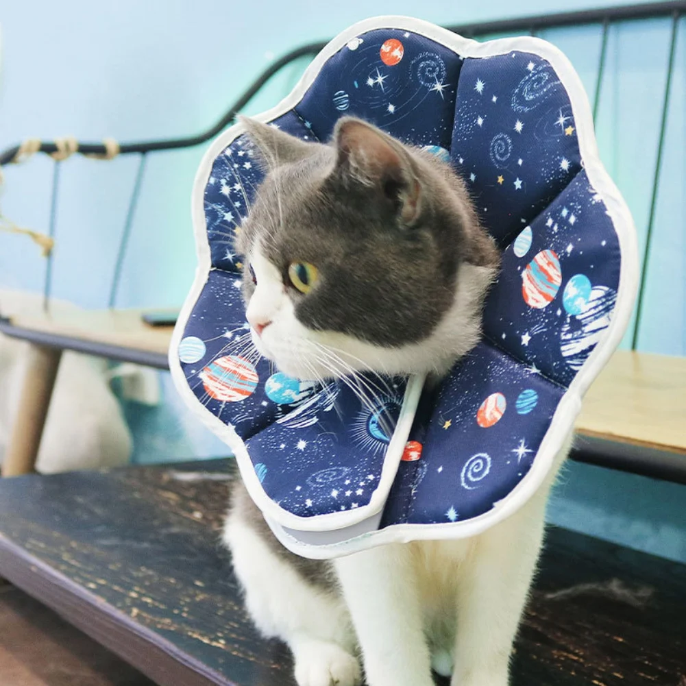 Gatto Cane Pet Collare Elisabettiano Carino Anti-Morso Leccare Chirurgia Ferita Gatti Collare Protettivo Collo Cono Recupero Ferita Gatti E-Collare