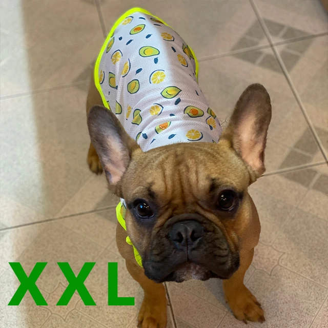 Ropa para perros pequeños de verano: Camisetas y Estilo Hawaii Emoape