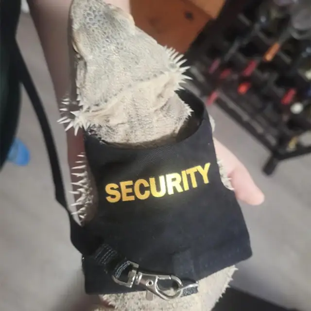 Lizard Leash Harness Soft Padding Reptile Bearded Dragon Vest Top with Hook And Loop Small Animals Security Print Clothes 4