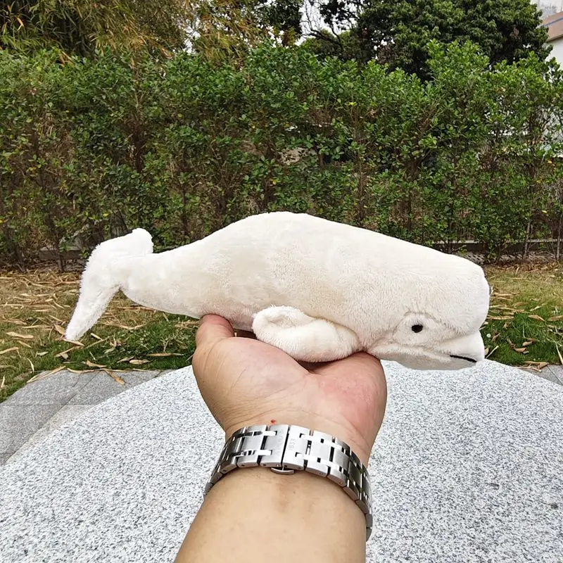 Whale Plush Toy Beluga Whale Doll Small Cute Dolphin Doll Early ...
