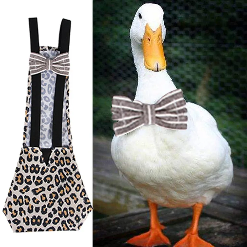 ֿ      ִ ݷ   źִ 带  Bowknot 