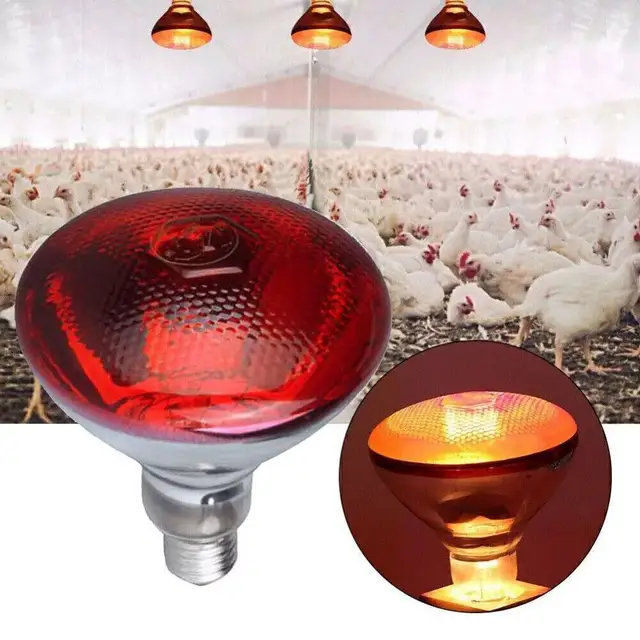 100w 150w 175w 200w 250w 275w Pet Red Heating Lamp  For Chickens Coop Brooder And Reptile Heat Bulb Infrared Red Light