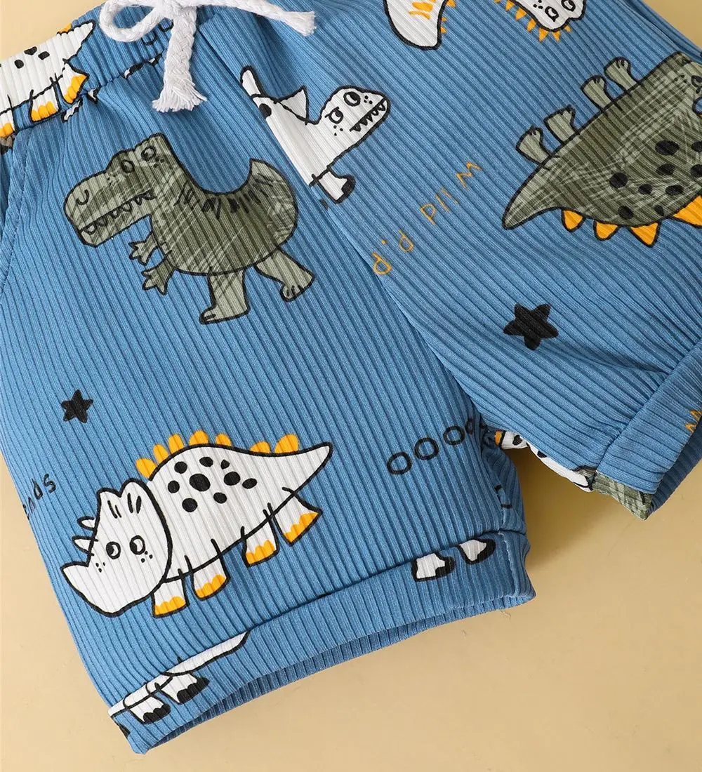 Dinosaur Baby Summer Set 4