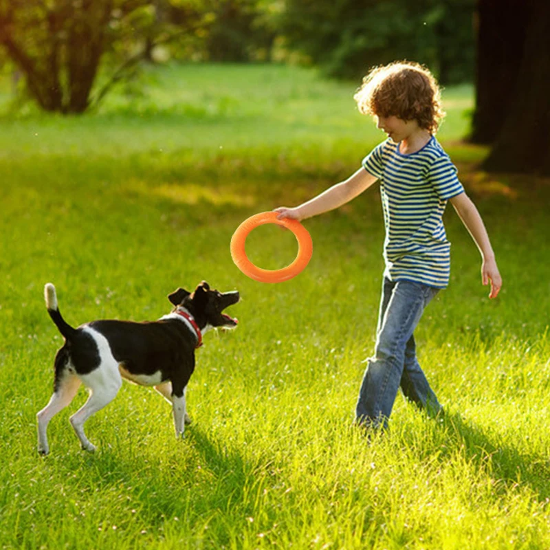 

18/27CM Dog Toys for Large Dogs Interactive Training Ring Puller Resistant for Dogs Pet Flying Discs Bite Ring Toy Dog Ring