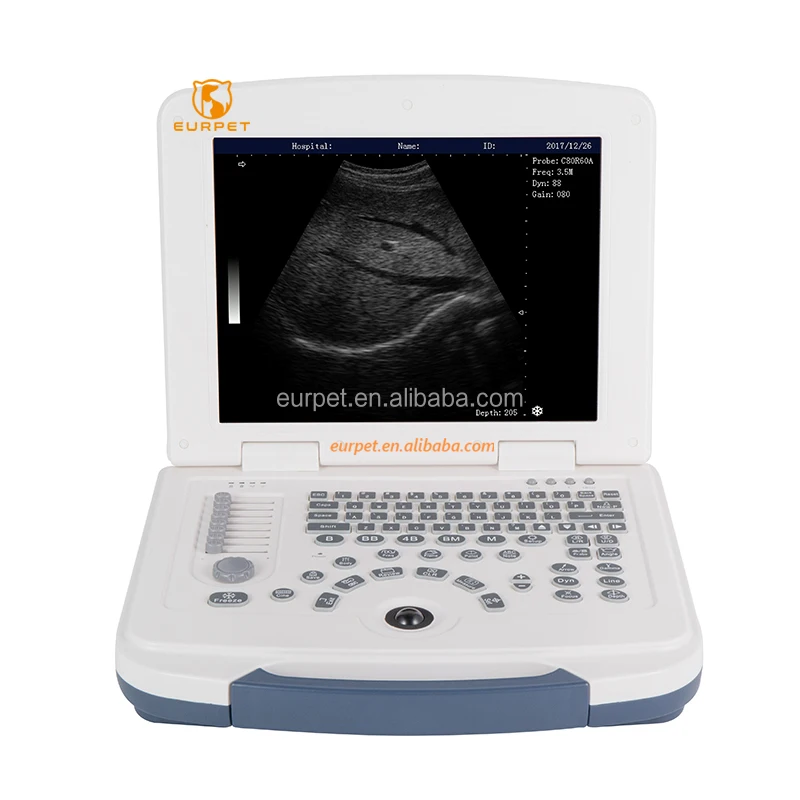 

EUR PET High Quality Veterinary Equipment Portable Veterinary USB Ultrasound Favorable Medical Ultrasound Instruments