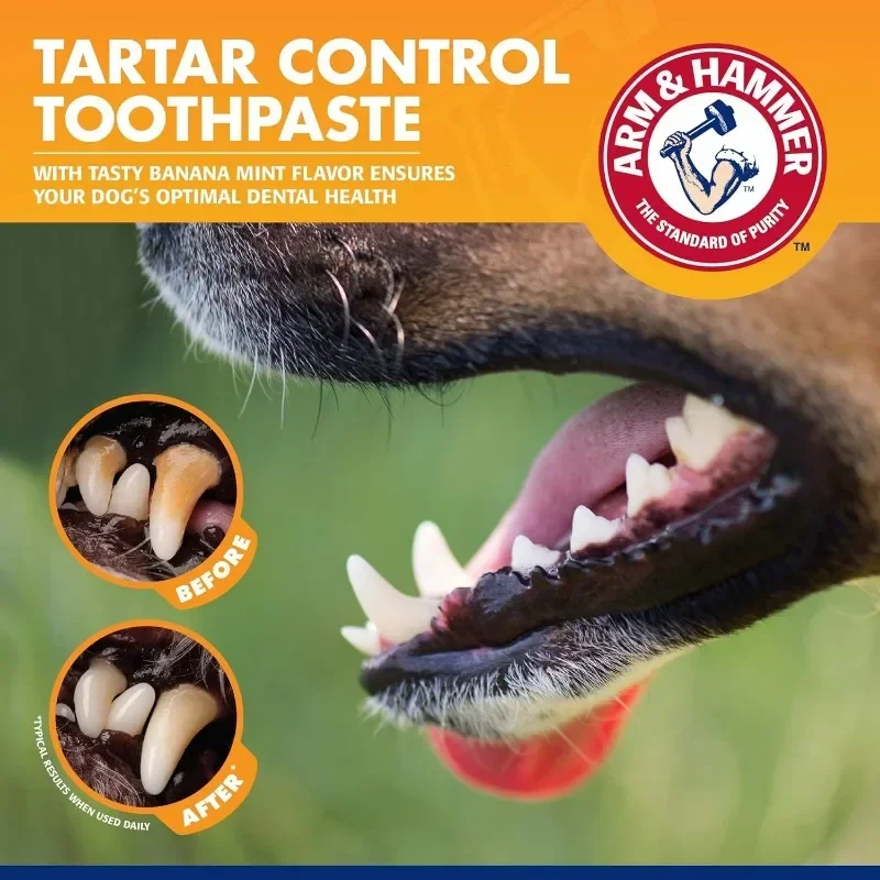 Kit di strumenti per la pulizia degli animali domestici Kit di prodotti per la cura delle gengive del cane Riduce la placca e il tartaro per il set di spazzolini universali per dentifricio per animali domestici 5
