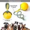 EVA pet toy ball dog floating  training dog pull ring bite resistant teeth grinding pet ball wear rope ball 3