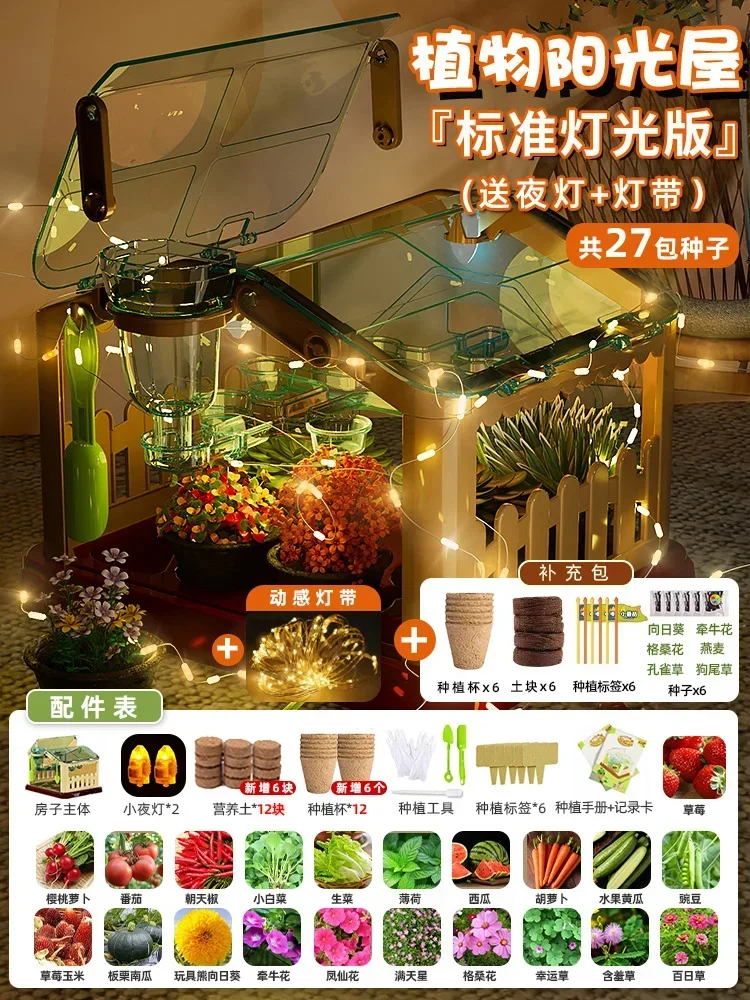 منزل زراعة أشعة الشمس للأطفال تجربة علمية صندوق مر...